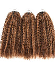 QVR Invisible Afro Kinky Curly Feather Crochet Hair Highlight