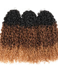 QVR Twist Curly Feather Crochet Human Hair Ombre