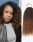 qvr afro kinky curly t2/30 crochet braids human hair extensions