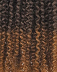 Afro Kinky Curly Crochet Hair Extension in Ombre Color
