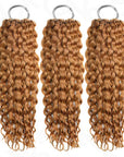 3 packs of water wave crochet braiding hair honely blonde colored