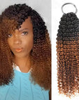 T1B/30-small kinky curly-18''-5 packs crochet hair