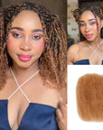 27/30 highlight colored afro kinky bulk human hair extensions