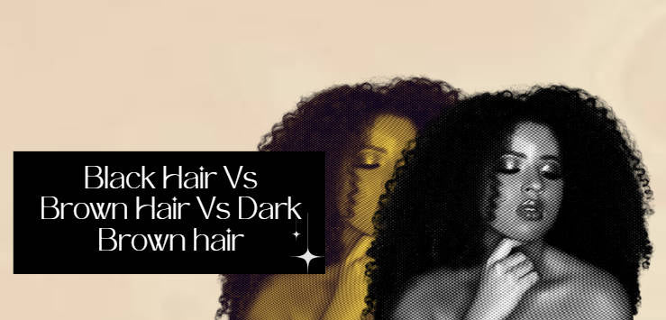 Black Hair Vs Dark Brown Hair Vs Brown Hair: Which to Choose?