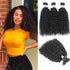 qvr jerry curly natura black human hair weave 3 bunles