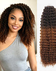 QVR Ombre 