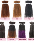 afro kinky bulk passion twist hair color chart