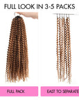 QVR Invisible Afro Kinky Curly Feather Crochet Hair Highlight 