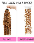 QVR Burmese Curly Feather Crochet Human Hair Highlight 