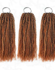 3 packs of afro kinky curly 