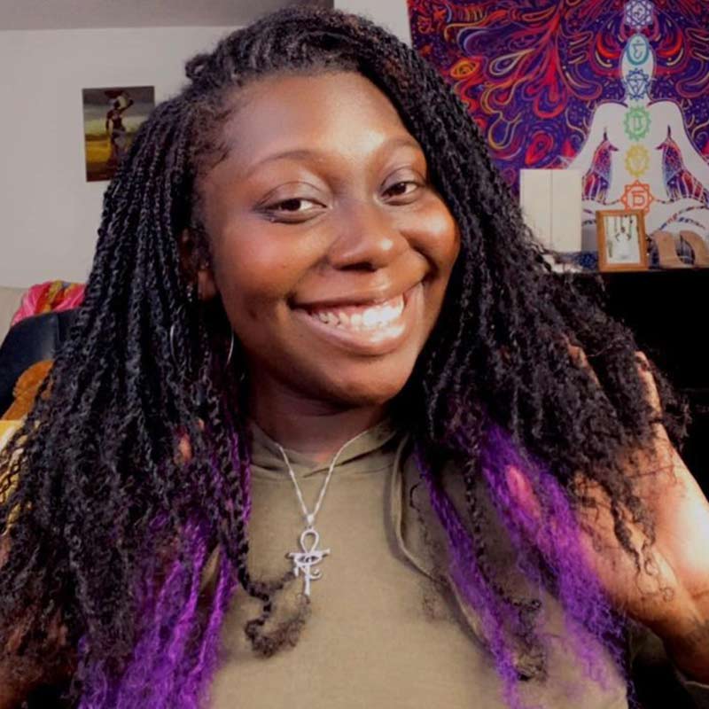 dark purple afro kinky bulk hair for dreadlocks