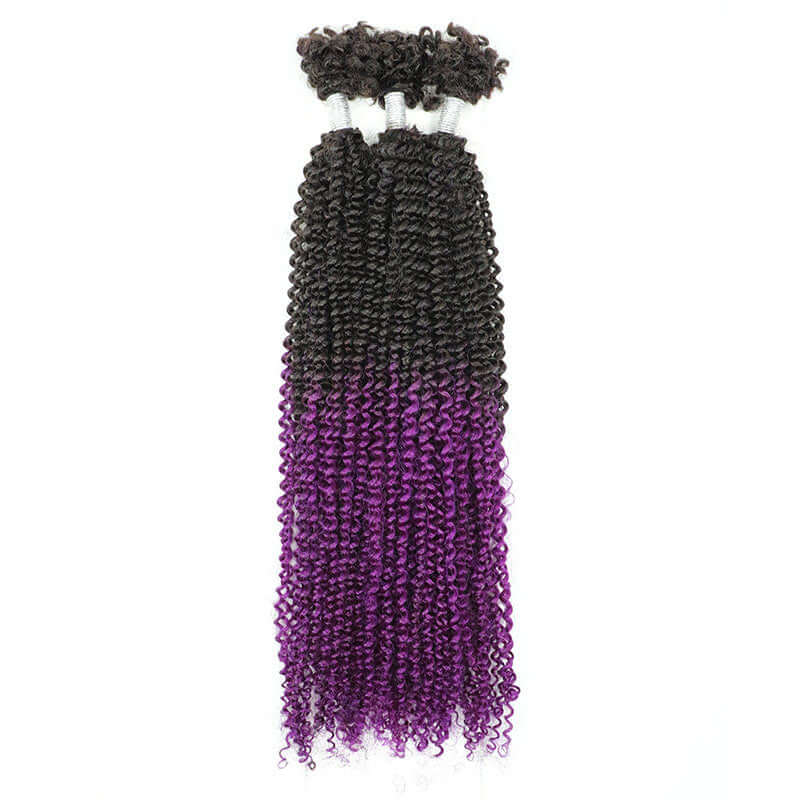 1b/purple passion twist hair packs