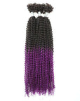 1b/purple passion twist hair packs