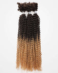 t2/27 ombre afro v bulk kinky passion twist hair